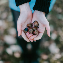 Load image into Gallery viewer, Decorative Acorns for Crafts and Home Décor, Craft Essentials, Well at Home | by Victory In Wellness