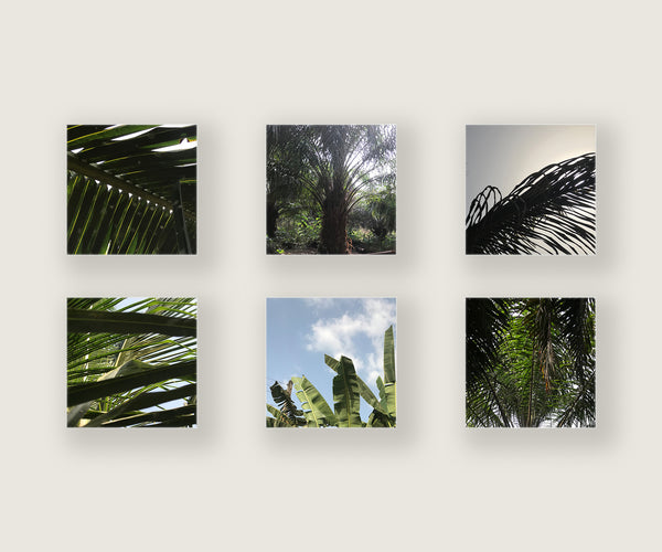 Perspective Memory Game part of The Think Well Series, Mindfulness Game, Critical Thinking Game, Learning Game, Educational Game, Memory Game for Kids, Memory Game for Adults, Cognitive Development Game | by Victory In Wellness