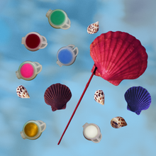 Load image into Gallery viewer, DIY Shell Painting Kit, Ocean-Themed Craft Activity for Adults and Kids, Includes Shells, Acrylic Paints, and Brushes | by Victory In Wellness
